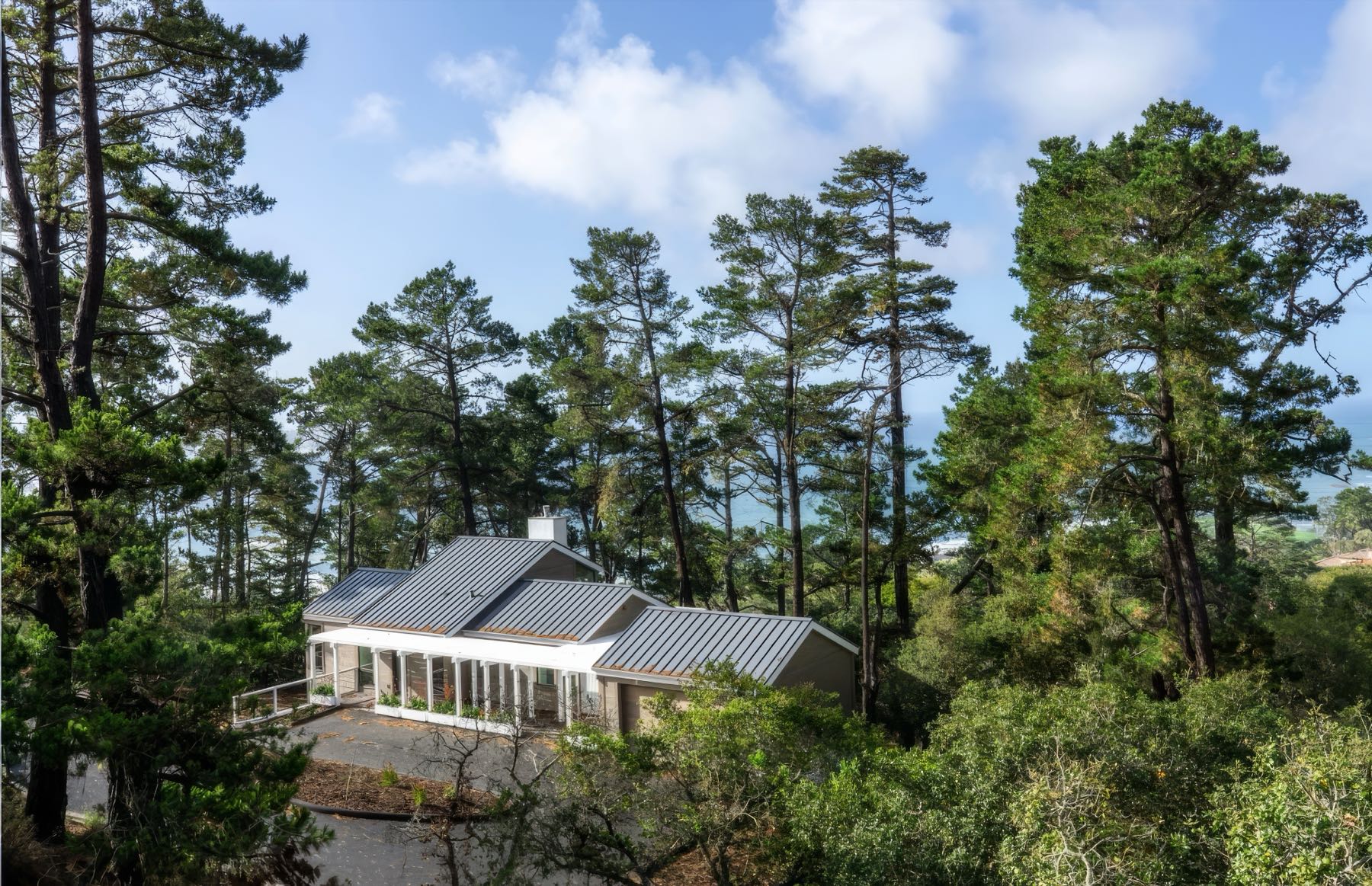 The house seen from above through Monterey pines, its standing-seam metal roof following the slope, with the ocean beyond.