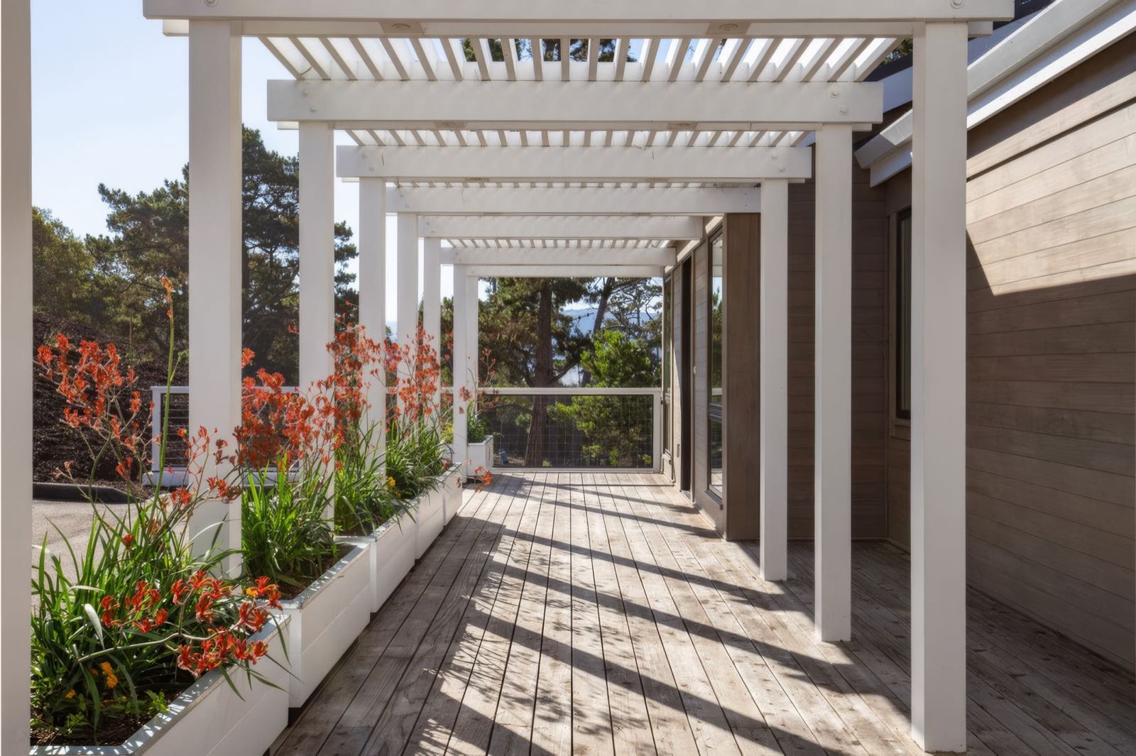 Covered walk along the house under an open slatted trellis, with raised planters of orange crocosmia against the timber cladding.